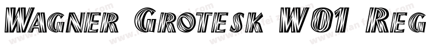 Wagner Grotesk W01 Regular字体转换